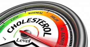 cholesterol testosterone vs rudi dr